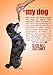Organic Premium Chicken Jerky Dog Treats. Made in USA. Grain Free, All Natural, 1 Ingredient, USDA Grade A Chicken Breast. Pet Training Thick Jerky Chew. No Preservatives, No Soy, Gluten Free