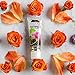 THE DIRT Coconut Oil Toothpaste - Fluoride & Gluten Free - Natural Oral Care for a Refreshing Smile - Rose Cocao Mint Flavor (72g: 10 Weeks Supply)