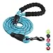 Trasen Pet Reflective Strong Dog Leash 5ft Long with Comfortable Padded Handle, Heavy Duty Training Durable Nylon Rope Leashes for Small Medium Large Dogs (Blue)