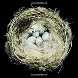 Nests: Fifty Nests and the Birds that Built Them