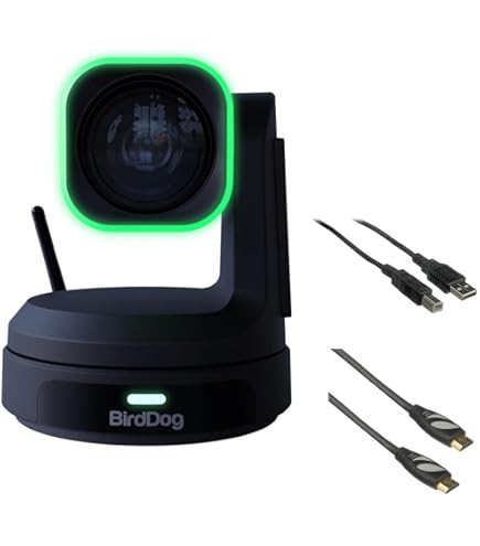 Amazon.com : BirdDog P4K 4K 10-Bit Full NDI PTZ Camera, Black