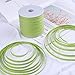 Whaline 229 Yards Christmas Raffia Paper Ribbon Craft Packing Paper Twine for Festival Gifts, DIY Decoration and Weaving, Christmas 1/4 inch Width (Green)