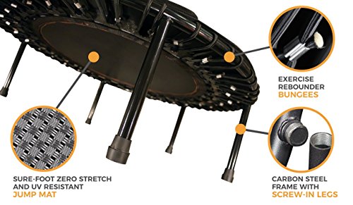 image for Leaps & Rebounds Bungee Rebounder - In-Home Mini Trampoline - Safety B