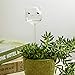 KiKiHome New Plant Waterer Self Watering Globes, Hand Blown Clear Glass Plant Water Bulbs for Indoor & Outdoor, 3 Catsthumb 2