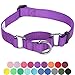 Blueberry Pet Martingale Safety Dog Collar, Dark Orchid, Medium 14.5