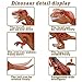 Alpacasso 4 PCS Large Size Dinosaur Building Block Toys, Jurassic Dinosaur Building Blocks Figures Toys for Boys, Including Tyrannosaurus Rex, Velociraptor, Dilophosaurus, Carnotaurus