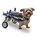 Walkin' Wheels Small Dog Wheelchair, Lightweight Dog Wheelchair for Back Legs, 11-14 lbs, for 7-8 inches Leg Height - Blue