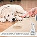 Furry Paws Pet Urine Odor and Stain Remover - 32 Ounces - Permanently Removes Dog, Cat and Other Pets Stains and Odors From Carpets & Other Surfaces - USA Made Commercial Grade Enzyme Based Cleaner