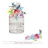 Image de Coloring Books for Adults Love You Grandma!: Adult Coloring Books Best Sellers in al; Adult Coloring Books Stress Relieving Patterns in al; Adult ...