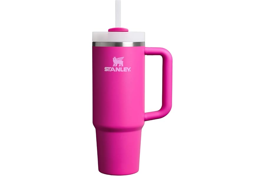 STANLEY Quencher H2.0 Tumbler with Handle and Straw 30 oz | Flowstate 3-Position Lid | Cup Holder Compatible for Travel | Ins Book