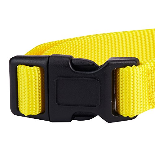 Blueberry Pet Essentials 22 Colors Classic Dog Collar, Blazing Yellow
