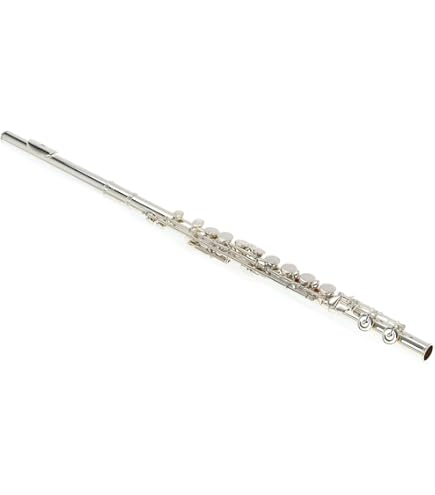 Amazon.com: Pearl Brillante PF-525E Flute From JPN : Musical