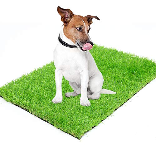 Scorbio Artificial Grass Puppy Potty Traning Mat Synthetic Grass Porch