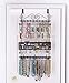 Longstem Organizers Over the Door/Wall Hanging Jewelry Organizer Rack in Black 6100 Holds Over 300 Pieces