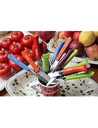 Opinel Trekking Series   Cuchillo de bolsillo plegable de acero inoxidable con anillo de seguridad Virobloc y encaje de piel