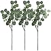 Supla 3 Pcs Faux Eucalyptus Leaves Spray Artificial Seeded Silver Dollar Eucalyptus Leaves Branches in Grey Green 25.5