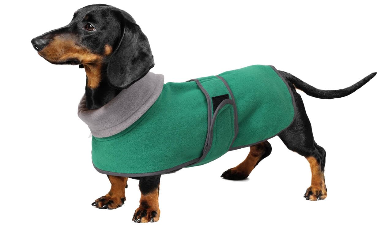 Geyecete dachshund coat with Warm Thermal Quilted, Dog miniature dachshund coats with Warm Fleece Lining, Outdoor Dog Apparel with Adjustable Bands-Green-XS