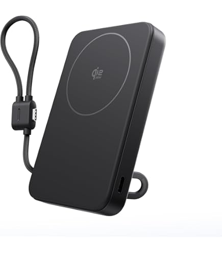 Amazon.com: EF ECOFLOW Rapid 45W Power Bank 3-in-1 Portable