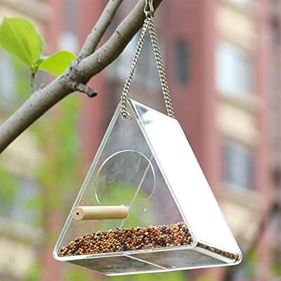 Acrylic Bird Feeder Can Be Hung With Suction Cup With Wooden