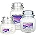 Village Candle Winter Wonderland 26 oz Glass Jar Scented Candle, Large