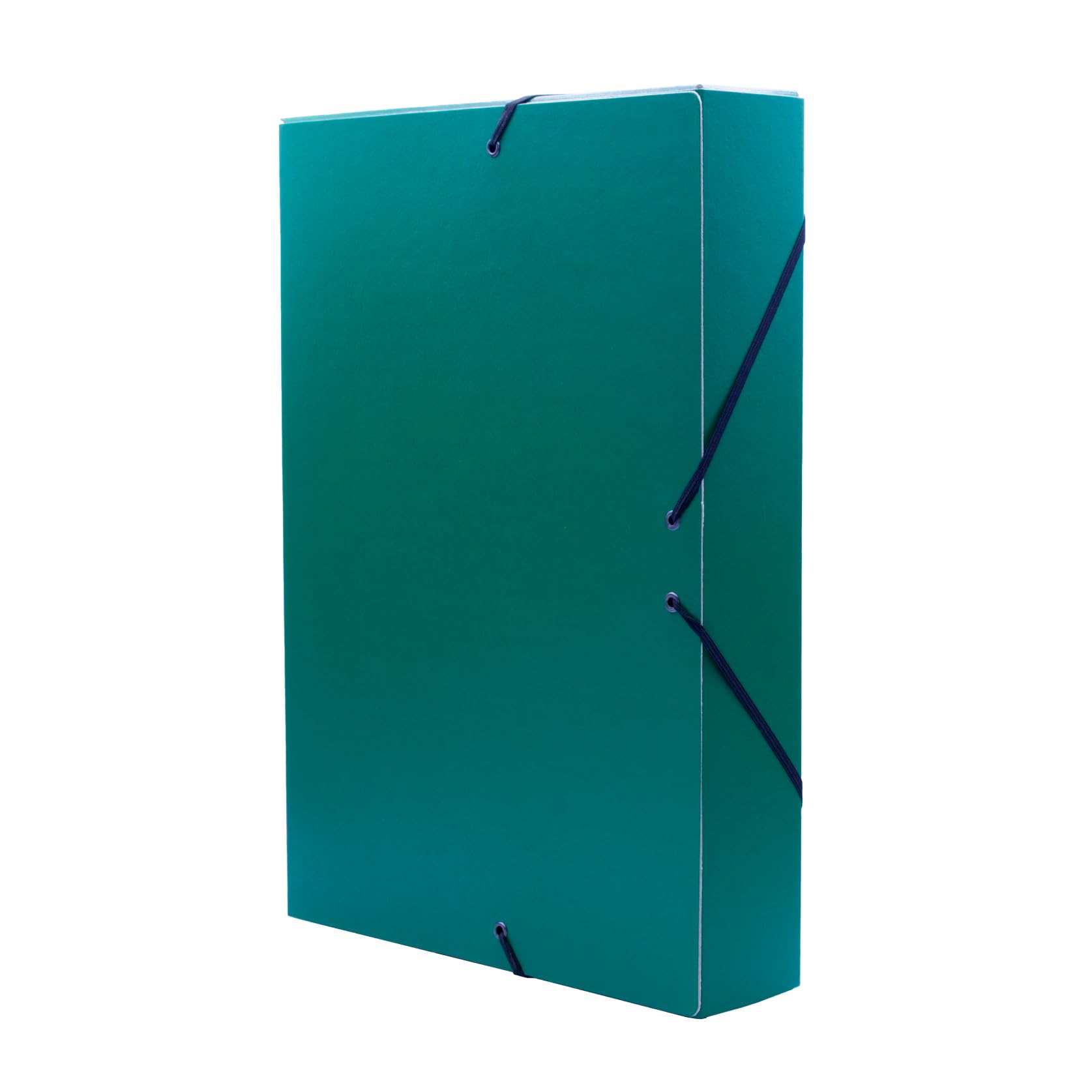 Raylu Paper A4 Matte Project Folder with 5 cm Spine, Sturdy Cardboard Folder and Elastic Closure for School or Office Projects, File Folder Size 34 x 24 cm (Green)