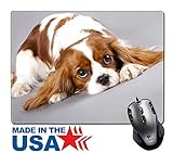MSD Natural Rubber Mouse Pad/Mat With Stitched Edges 9.8” X 7.9” IMAGE ID: 11452169 Cavalier King Charles Spaniel