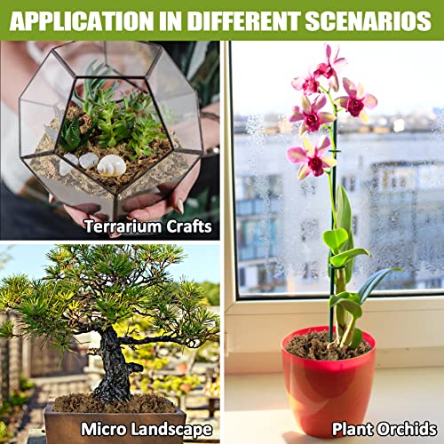 10 OZ Orchid Sphagnum Moss Dried Peat Moss for Potted Plants Mix Soil