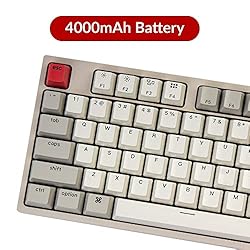 Keychron C1 Tenkeyless Layout 87 Keys Wired