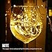 Lighting EVER 16 Pack Fairy Lights Battery Operated, 20 LED Mini String Lights Waterproof Small Pixie Lights for Mason Jars, Crafts, DIY Wedding Party Centerpieces, Bedroom Wall Vines, Holiday Garland
