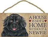 A house is not a home without Newfoundland Dog - 5