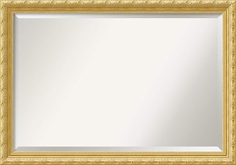Amazon.com: Amanti Art Framed Mirrors 