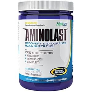 Aminolast, Fruit Punch – 420g by Gaspari Nutrition