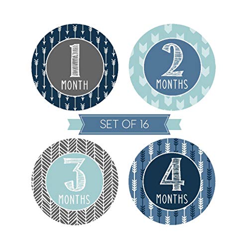 2 Milestone+Stickers+Monthly+Scrapbook+Registry