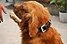 Moonpet Soft Padded Real Genuine Leather Dog Collar-Best Full Grain Heavy Duty Dog Collar-Durable Strong Adjustable for Small Medium Large X-Large Male Female Dogs Walking Training-Black,17.2-22''