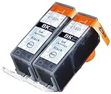 2 Pack Compatible Ink Cartridge Replacement for Canon PGI-225 4530B001 (2 Black)