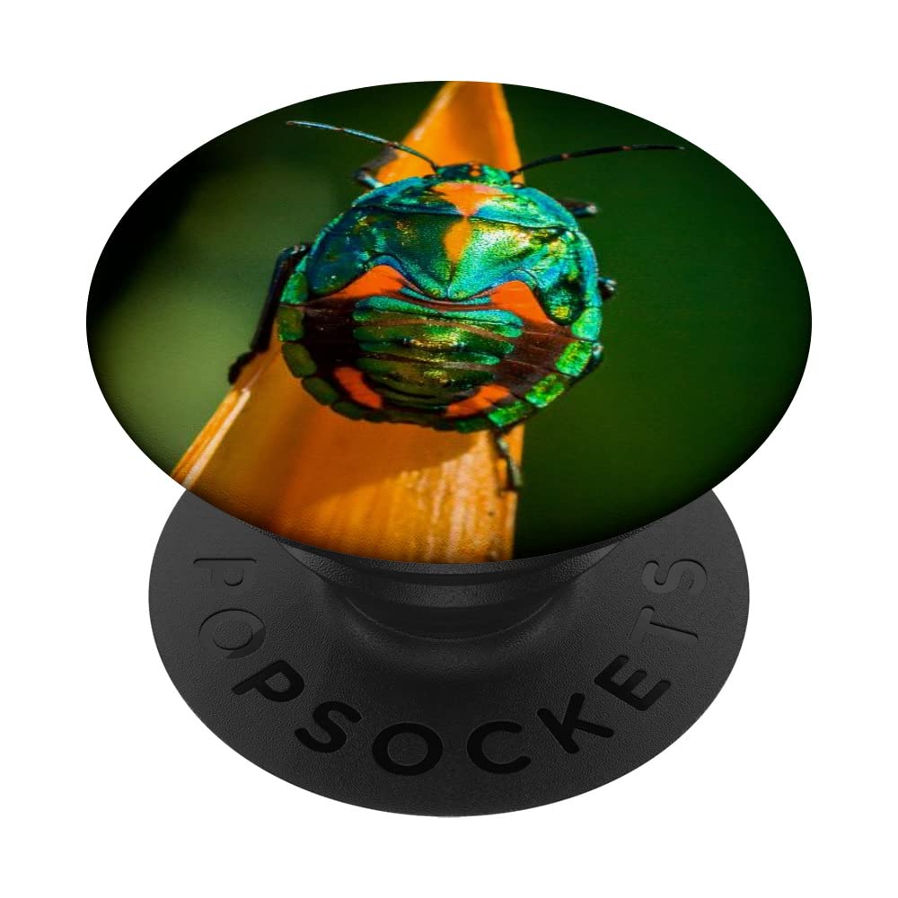 Beetle Bug PopSockets Swappable PopGrip