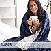 TBI Pro [New 2019] Super Soft Weighted Blanket with Organic Natural Cotton for Adults | Premium Softness, Glass Beads | Rhomb Shape Heavy Blanket | Beautiful Storage Bag (48x72 in (Full) 15 LBS)