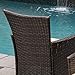 Christopher Knight Home 295968 Clementine Outdoor Multibrown PE Wicker Dining Chairs