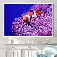 signwin Framed Canvas Wall Art Deep Under Group Jellyfish Marine Life Multicolor Photography Realism Tropical Ultra Whimsical - 24x36 inches