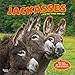 Jackasses 2020 12 x 12 Inch Monthly Square Wall Calendar, Donkey Humor by 