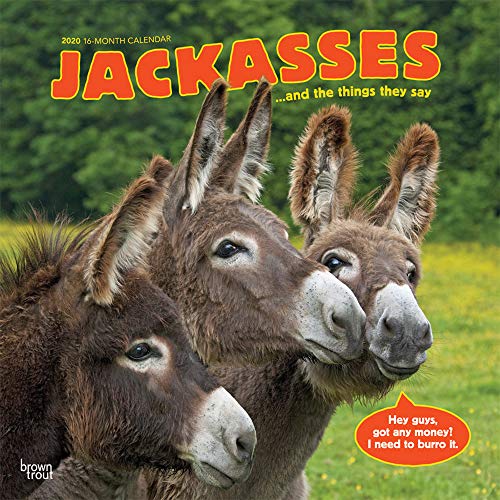 Read Jackasses 2020 12 x 12 Inch Monthly Square Wall Calendar, Donkey Humor TXT