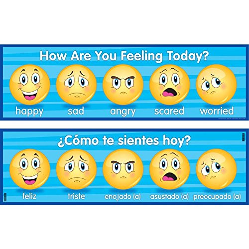 Really Good Stuff How Are You Feeling Today Two Sided Banner English Spanish In Kuwait Whizz