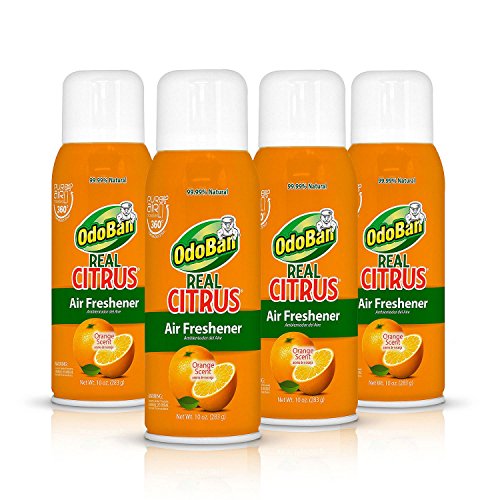 Top 10 best room deodorizer spray for home Which is the best one in