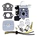 Hipa SRM 230 Carburetor for Echo PE230 SRM230 PAS230 PPT230 GT230 SRM231 PE231 GT231 PAS231 PPT231 SRM230S SRM230U SRM231S SRM231U Trimmer Replace RB-K75