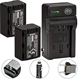 BM Premium 2-Pack of VW-VBT190 Batteries and Battery Charger for Panasonic HC-V800K, HC-VX1K, HC-WXF1K, HCV520, HC-V550, HCV710, HCV720, HC-V750, HC-V770, HC-VX870, HC-VX981, HC-W580, HC-W850, HCWXF99