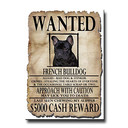 French Bulldog Wanted Fridge Magnet No 2 Funny