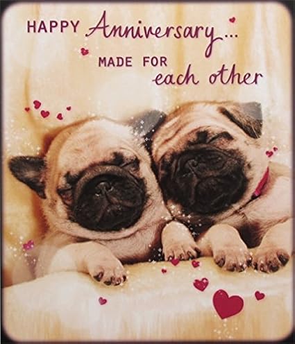 Photographic Greeting Card Plk6139 Anniversary Pug Puppies Sleeping Made For Each Other Amazon Co Uk Office Products