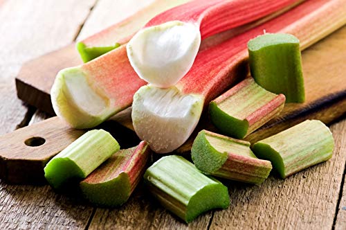 Rhubarb Seeds Pie Plant Around 50 Seeds - Thumbnail 3