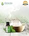 Peppermint Essential Oil - 100% Pure Therapeutic Grade 15ml (Comparable to DoTerra and Young Living) for Energy Settling and Purifying
