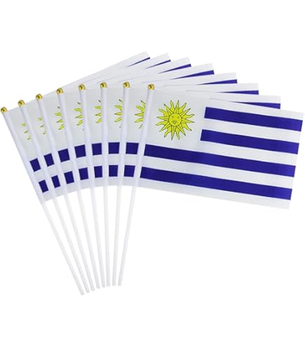 標本 Uruguay Thronistes rouxi 31mm Roadshine RS608 295/75R22.5 144/141L G | TIRECLUB Internacional